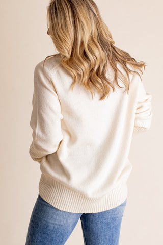 Cozy Connection Turtle Neck Sweater