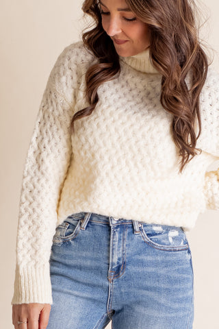 Cozy Place Turtle Neck Sweater