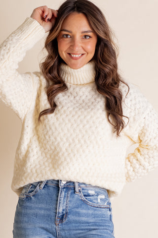 Cozy Place Turtle Neck Sweater