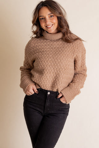 Cozy Place Turtle Neck Sweater