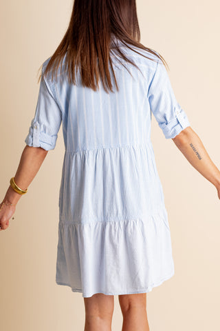 Weekend Visit Button Down Dress