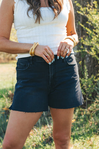 Cecilia High Waist Shorts *Final Sale*