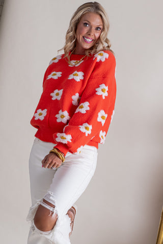 Dream Of Daisies Oversized Sweater