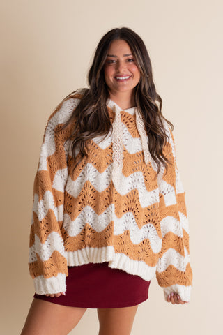 Cooler Weather Hooded Sweater