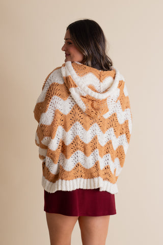 Cooler Weather Hooded Sweater